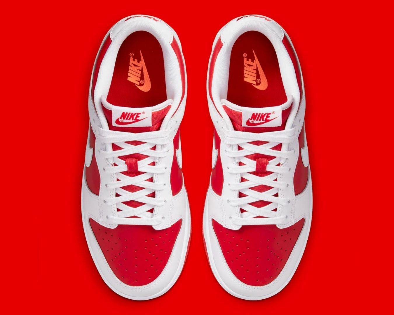 NIKE DUNK LOW (GS) CW1590-600