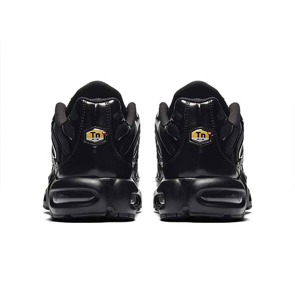Nike Air Max Plus 604133-050