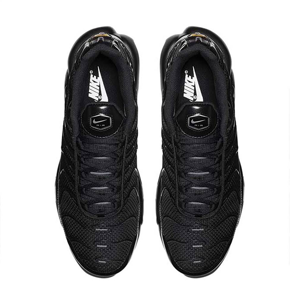 Nike Air Max Plus 604133-050