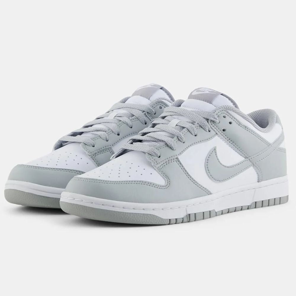 Nike Dunk Low Retro DD1391-103