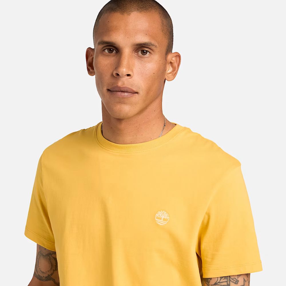 Timberland T-shirt da uomo A2BPR-714