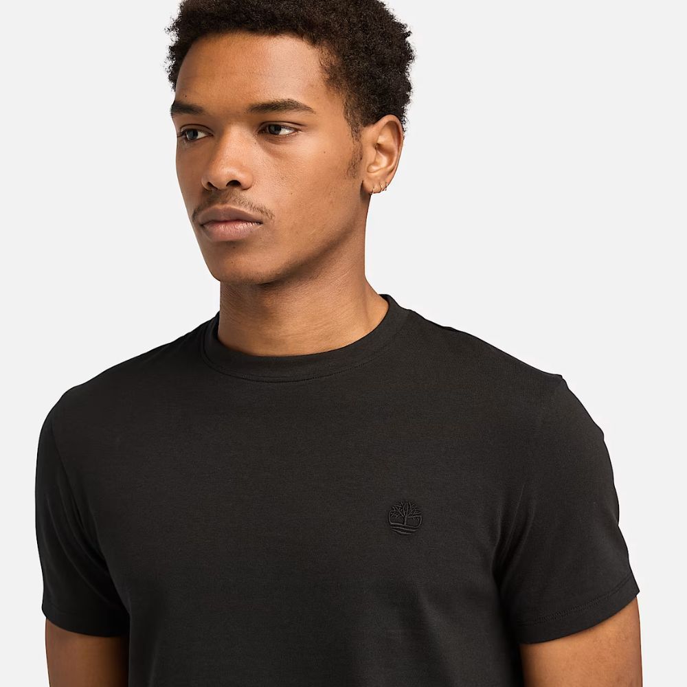 Timberland T-shirt da uomo A2BPR-X65