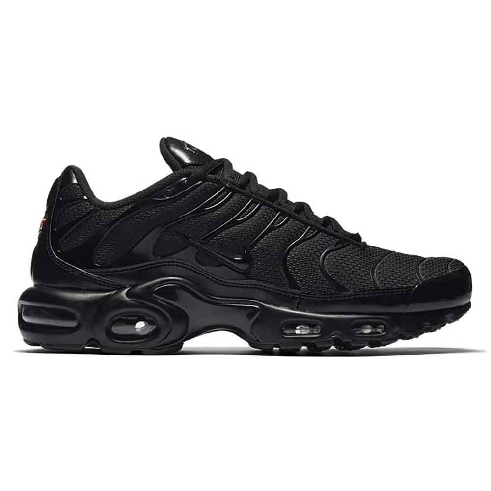 Nike Air Max Plus 604133-050