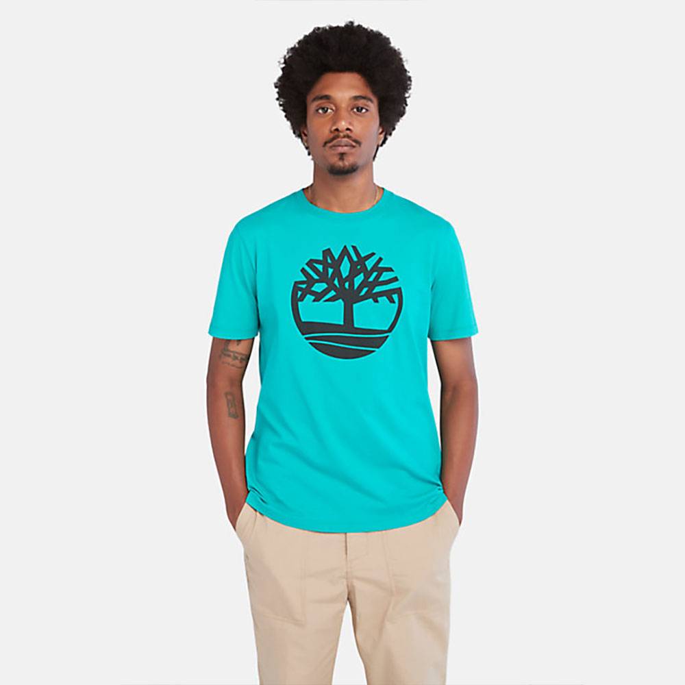 T-SHIRT UOMO TIMBERLAND A2C2R